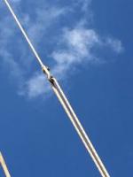 Nome del file: IMG_1513.jpg
Dimensione: 9,5 KB
23-05-2017, 11:46