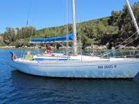 Nome del file: IMG_6392.jpg
Dimensione: 103,91 KB
22-10-2017, 11:01