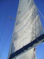 Nome del file: PC030011.jpg
Dimensione: 146,92 KB
22-10-2017, 11:05