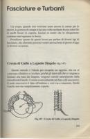 Nome del file: C7FFBB83-6DF8-40E9-B57B-297954AC8363.jpeg
Dimensione: 25,09 KB
04-01-2020, 17:10