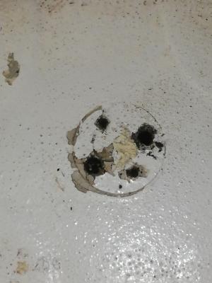 Nome del file: IMG_20210126_185359.jpg
Dimensione: 166,56 KB
26-01-2021, 21:21