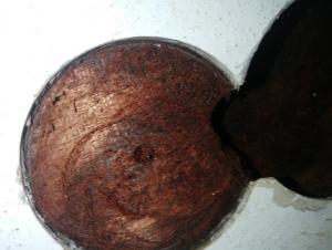 Nome del file: attacco randa 2.jpg
Dimensione: 166,38 KB
30-01-2021, 21:27