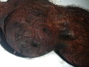 Nome del file: attacco randa 1.jpg
Dimensione: 214,5 KB
30-01-2021, 21:27