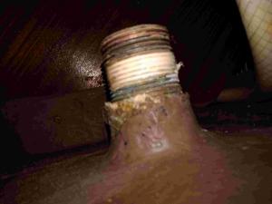 Nome del file: WC scarico - 5.jpg
Dimensione: 87,46 KB
31-03-2021, 10:17