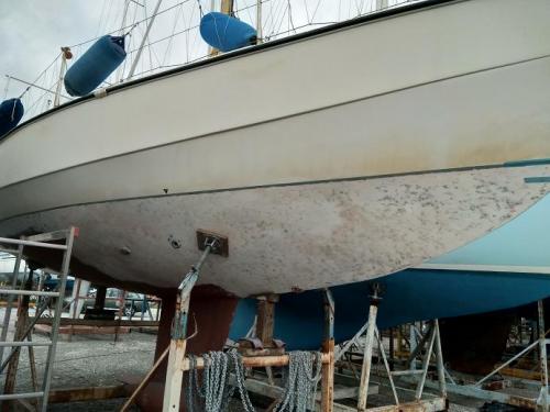 Nome del file: IMG_20201215_131738.jpg
Dimensione: 302,49 KB
16-05-2021, 21:28