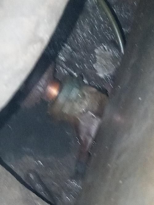 Nome del file: IMG_20241025_134526-min.jpg
Dimensione: 996,29 KB
25-10-2024, 14:31