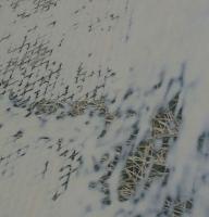 Nome del file: IMG_20161017_172103.JPG
Dimensione: 167,39 KB
17-10-2016, 17:21