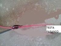 Nome del file: anello a basso attrito attaccato al paranco.jpg
Dimensione: 8,74 KB
29-12-2016, 12:40