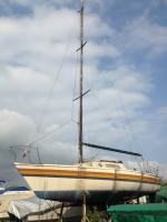 Nome del file: Rigoletto_SX2.jpg
Dimensione: 198,92 KB
25-04-2017, 11:31