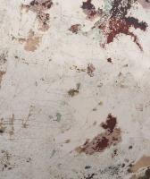 Nome del file: Opera.jpg
Dimensione: 187,72 KB
09-09-2017, 20:23