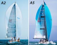 Nome del file: UK+Sailmakers+Asymmetrical+A2-A5+Comparison (1).jpeg
Dimensione: 158,55 KB
31-10-2018, 11:55