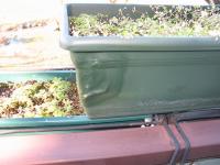 Nome del file: foto varie 067.jpg
Dimensione: 116,34 KB
07-02-2019, 23:27