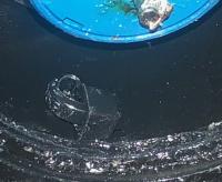 Nome del file: dettaglio.jpg
Dimensione: 199,98 KB
28-03-2019, 10:46