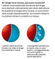 Nome del file: Schermata 2019-07-16 alle 12.32.33.jpg
Dimensione: 58,28 KB
16-07-2019, 12:34
