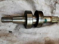 Nome del file: Alberinopompa.jpg
Dimensione: 164,84 KB
09-11-2019, 16:33