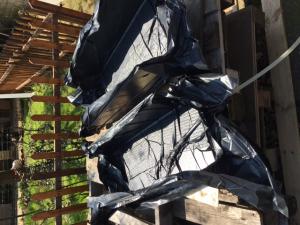 Nome del file: IMG_0345.JPG
Dimensione: 153,77 KB
30-04-2020, 02:08