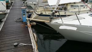 Nome del file: IMG_20201004_36498.jpg
Dimensione: 92,1 KB
04-10-2020, 01:28