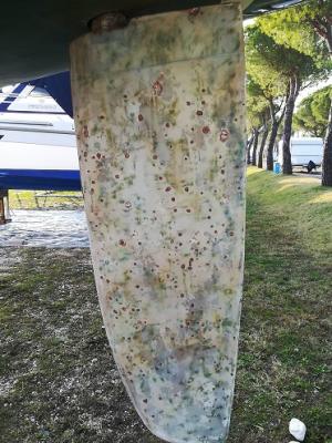 Nome del file: Timone.jpeg
Dimensione: 112,18 KB
22-10-2020, 18:14