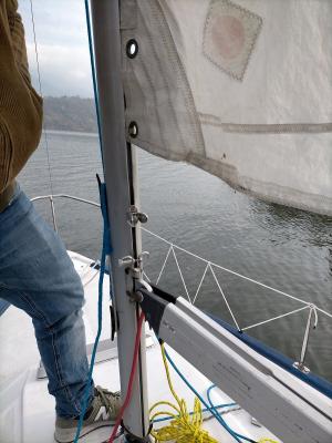 Nome del file: IMG20201112102945.jpg
Dimensione: 373,72 KB
12-11-2020, 18:06