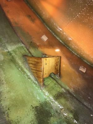 Nome del file: IMG_0185.JPG
Dimensione: 194,67 KB
21-11-2020, 15:21