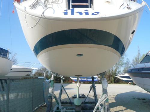 Nome del file: P1040886.JPG
Dimensione: 179,95 KB
30-05-2021, 08:39