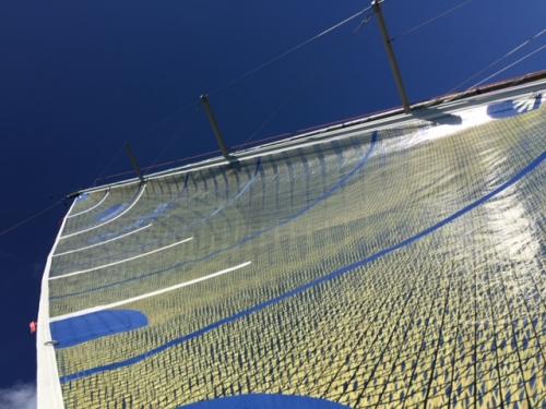 Nome del file: IMG_3136.JPG
Dimensione: 142,03 KB
28-09-2021, 13:27