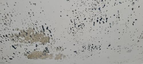 Nome del file: 20221210_084922.jpg
Dimensione: 112,24 KB
10-12-2022, 20:02