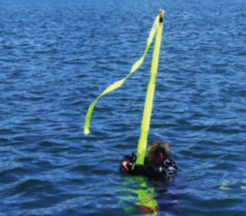 Nome del file: Screenshot_2023-02-02-07-40-59-72_40deb401b9ffe8e1df2f1cc5ba480b12.jpg
Dimensione: 371,82 KB
02-02-2023, 08:47