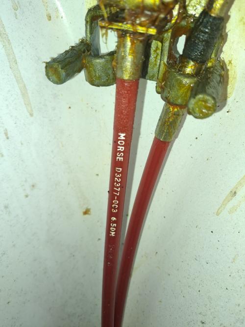 Nome del file: cavo morse.jpeg
Dimensione: 165,24 KB
27-06-2023, 17:18