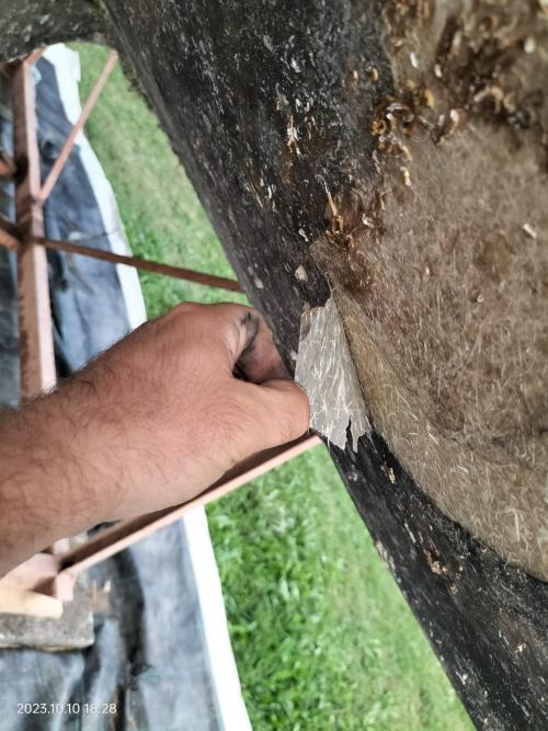 Nome del file: IMG-20231010-WA0014.jpg
Dimensione: 324,22 KB
11-10-2023, 13:12