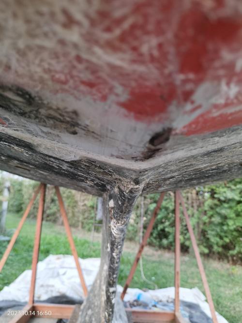 Nome del file: IMG-20231017-WA0000.jpg
Dimensione: 234,23 KB
17-10-2023, 00:18