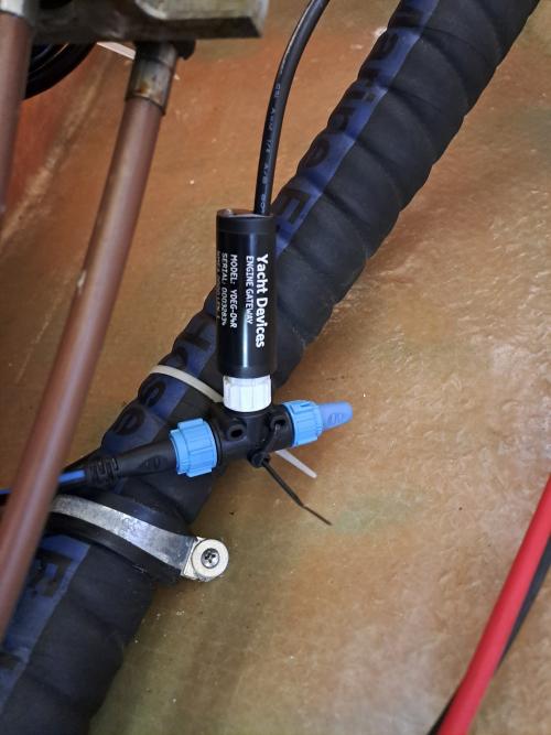 Nome del file: 20240131_133212_copy_1500x2000.jpg
Dimensione: 447,16 KB
19-03-2024, 21:53