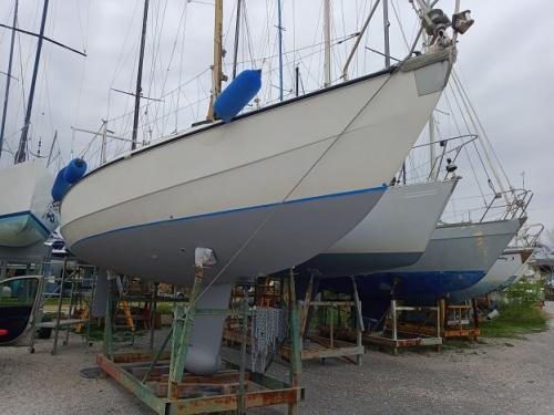 Nome del file: IMG_20230412_121630712.jpg
Dimensione: 124,04 KB
20-06-2024, 23:27