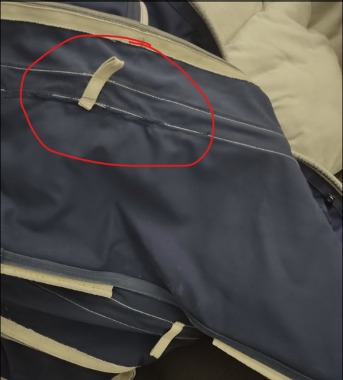 Nome del file: Screenshot 2025-04-17 145229.png
Dimensione: 446,51 KB
17-04-2025, 14:53