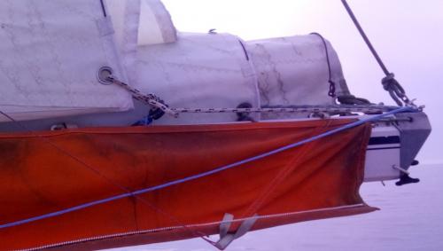 Nome del file: borosa 2 mano.jpg
Dimensione: 84,33 KB
24-05-2025, 17:12